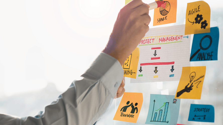 Project Management Consulting Services